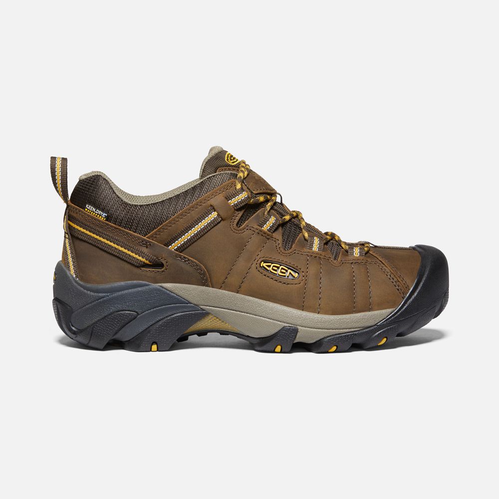 KEEN Musk Chaussures de Randonnée Hautes Homme KEEN Musk Chaussures de Randonnée Hautes Homme